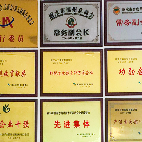 資質(zhì)榮譽